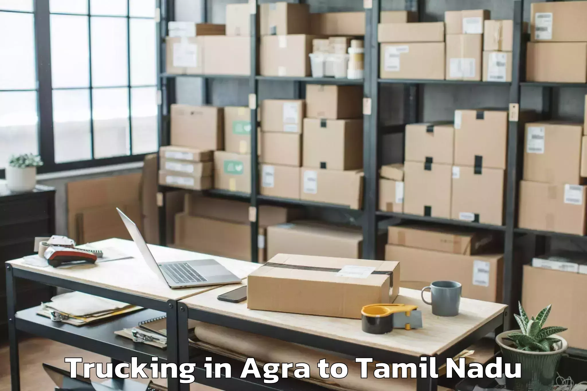 Affordable Agra to Nannilam Trucking